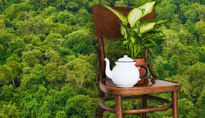 Sademetsän yllä -tapetti,